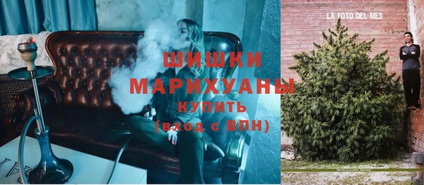 крисы Медногорск