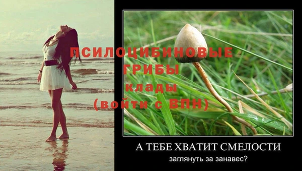 крисы Медногорск
