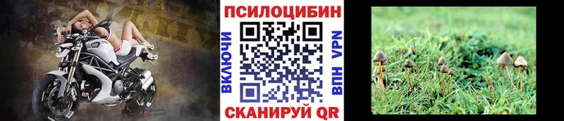Псилоцибиновые грибы Psilocybine cubensis  Купить где  Мантурово 